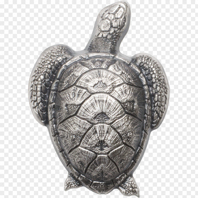 Silver Coin Gold Sea Turtle Hatchlings PNG