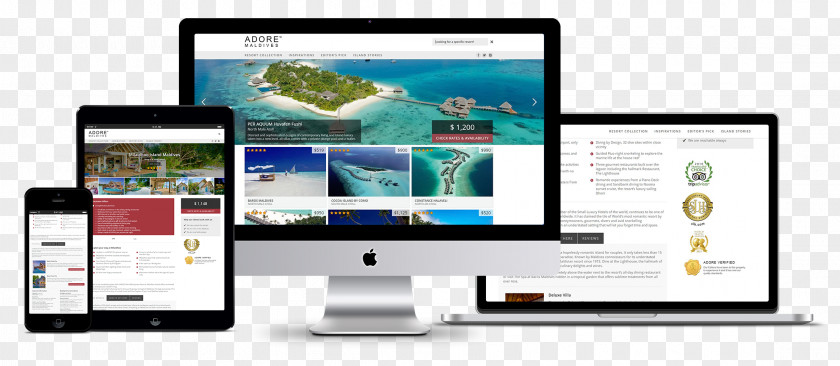 Web Design Responsive Development PNG