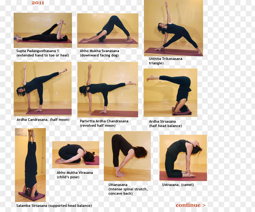 Practice Iyengar Yoga For Beginners: An Introduction To The Classic Poses Hatha & Pilates Mats PNG