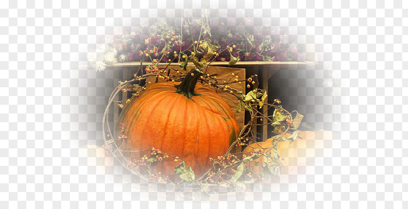 Pumpkin Autumn Polyvore Work Of Art PNG
