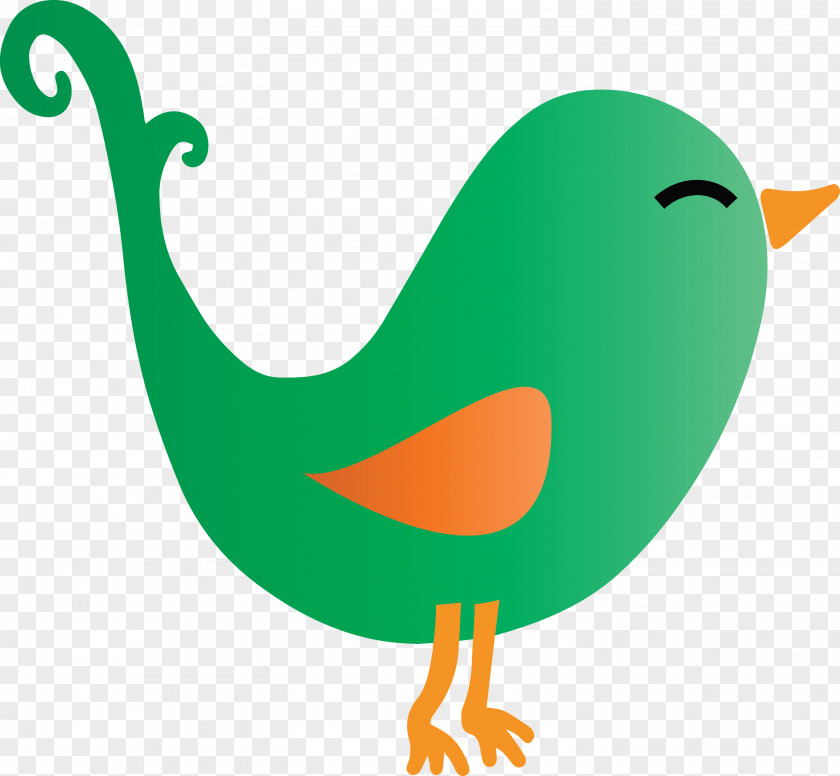 Bird Beak Tail PNG