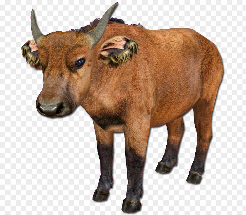 Bison Zoo Tycoon 2 Cattle African Buffalo Forest PNG