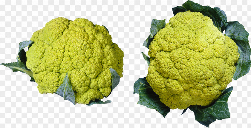 Broccoli Romanesco Cauliflower Brussels Sprout Cabbage PNG