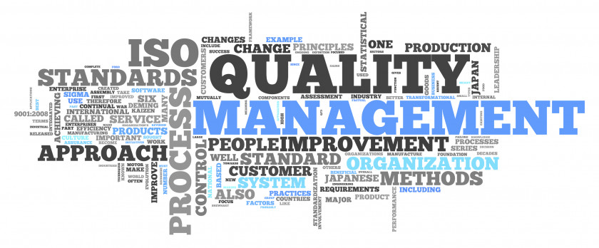 Business ISO 9000 Quality Management System Total PNG