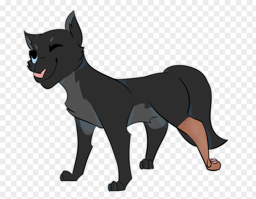 Cat Whiskers Dog Breed Puma PNG