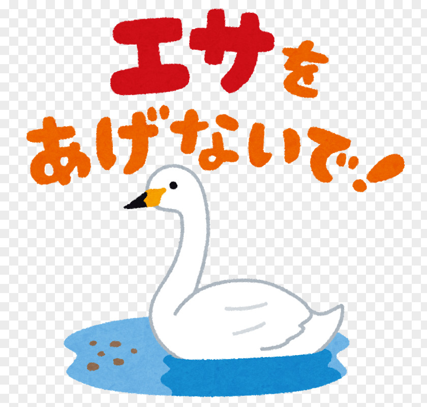 Duck いらすとや 少額投資非課税制度 Illustration Financial Institution PNG