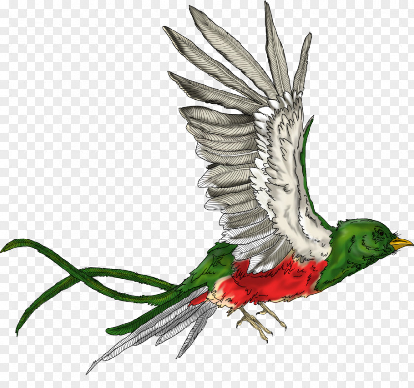 Feather Beak Fauna PNG