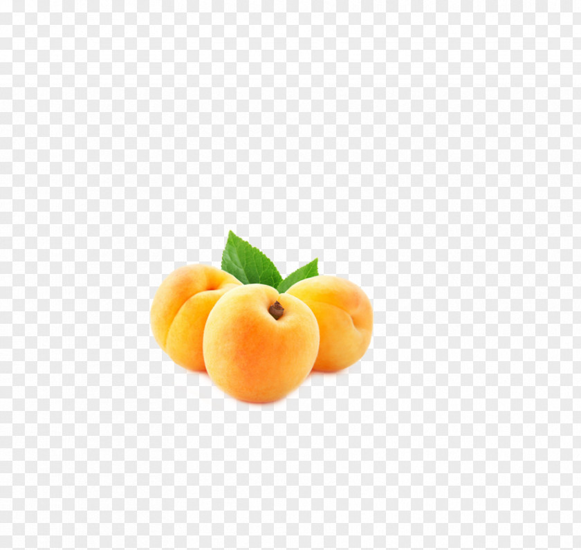 Peach Yellow Auglis Clementine PNG