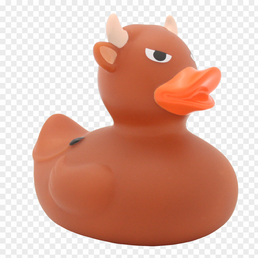 Rubber Duck LILALU Information PNG