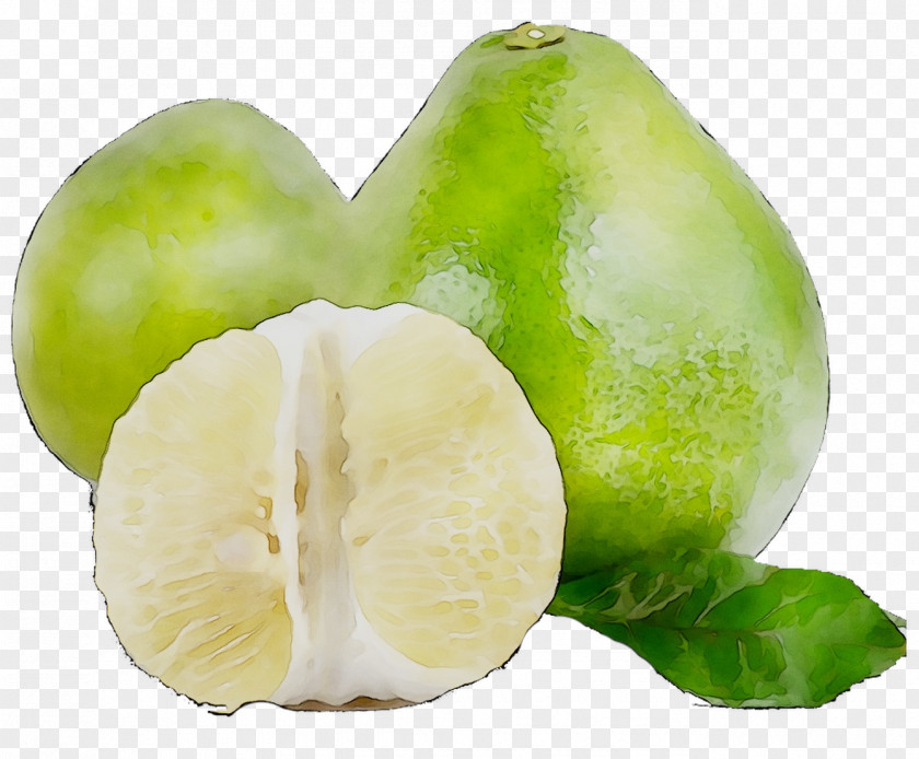 Superfood Vegetable Key Lime Diet Food PNG