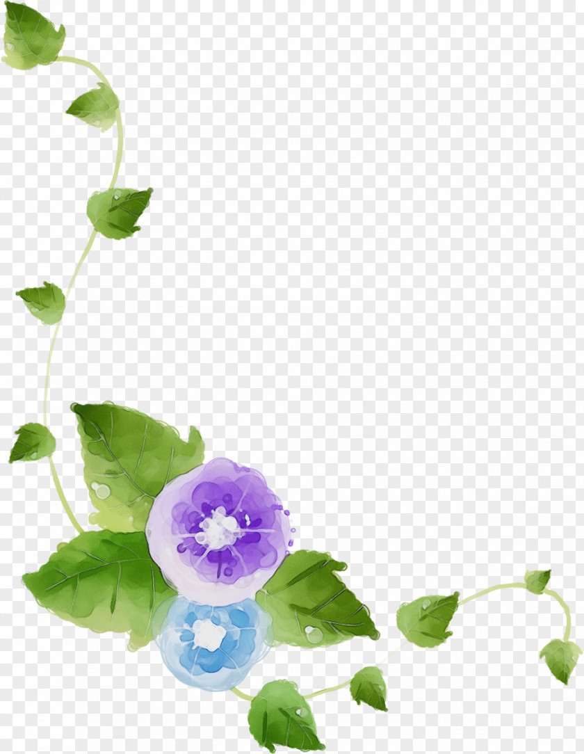 Violet Flower Purple Plant Petal PNG