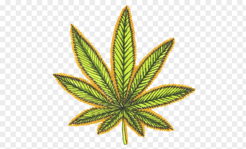 Marijuana Medical Cannabis Smoking PNG