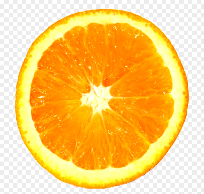 Orange Slice Juice Citrus Lemon PNG