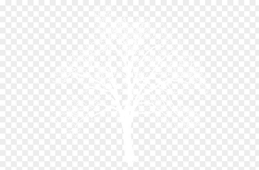 Snow White Withered Tree Black And Line Angle Point PNG