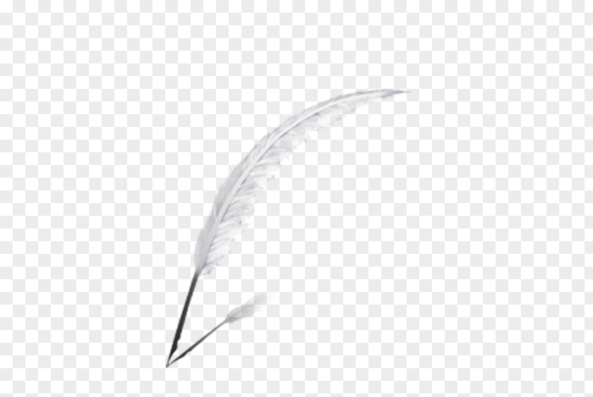 Attractive Feather Material Computer File PNG