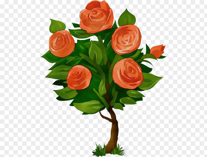 Clip Art Rose Shrub Free Content Image PNG