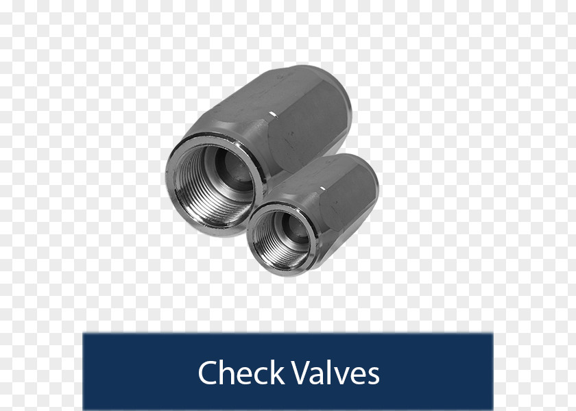 Double Check Valve Poppet Holmbury St Mary Pressure PNG