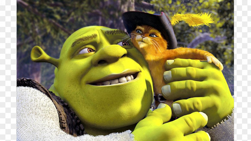 Shrek Ogres And Dronkeys Princess Fiona DreamWorks Animation Film Director PNG