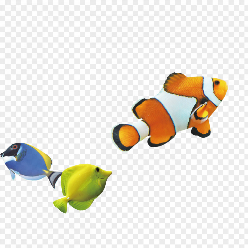 Fish Yin Yang U6d77u6c34u9b5a Computer File PNG