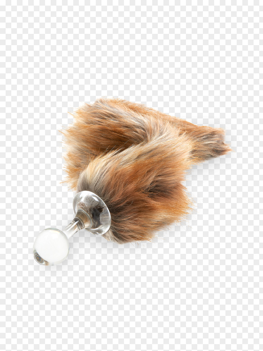 Foxtail Dog Tail Fur Snout Canidae PNG