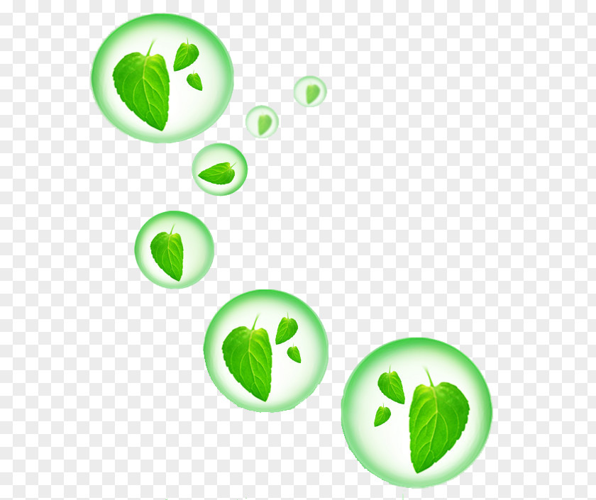 Green Leaves Bubbles Environmental Protection Information PNG