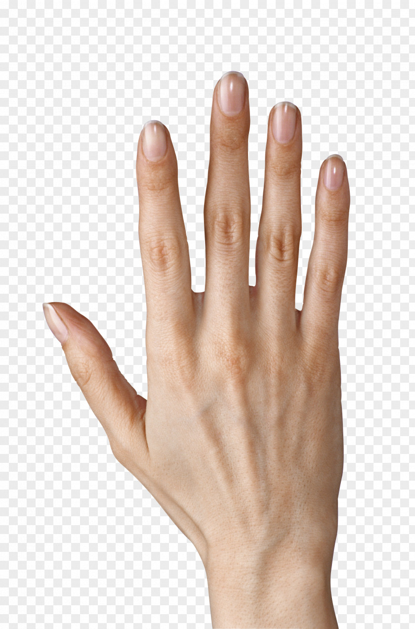 Hand Showing Five Fingers Clipart Image Finger Icon Computer File PNG
