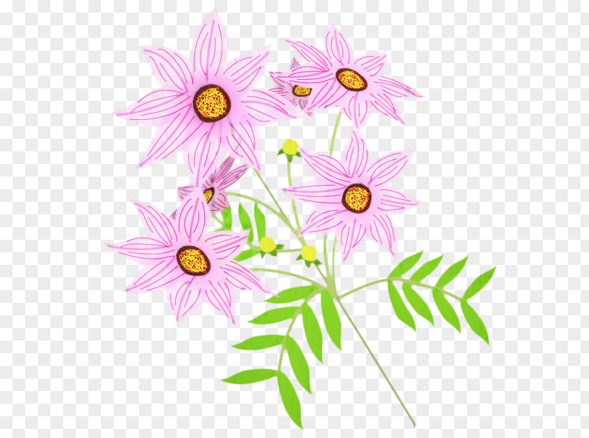 Pedicel Cosmos Pink Flower Cartoon PNG