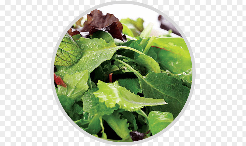 Salad Organic Food Leaf Vegetable Mesclun PNG