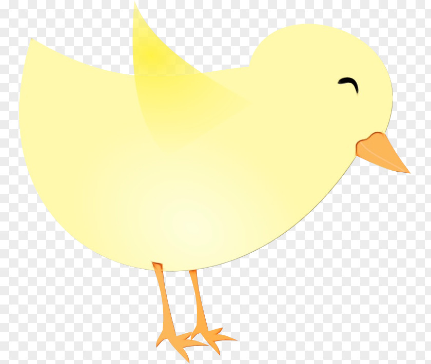 Bird Yellow Beak Chicken Water PNG