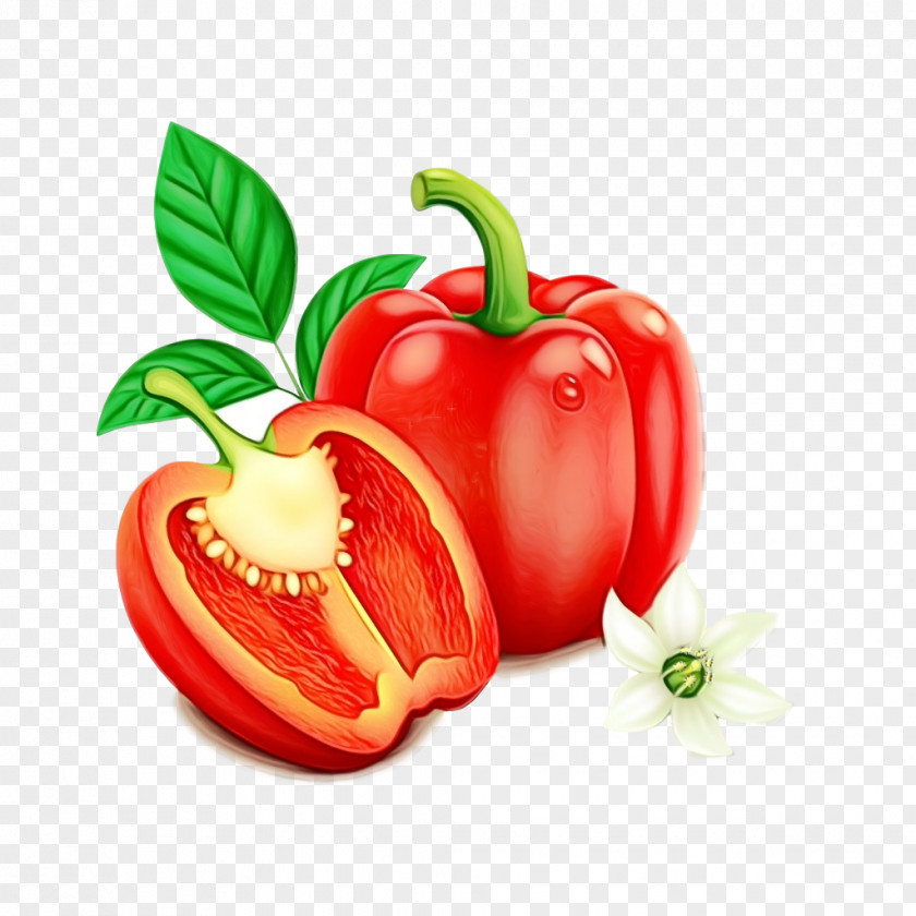 Capsicum Paprika Natural Foods Vegetable Bell Pepper Pimiento Peppers And Chili PNG