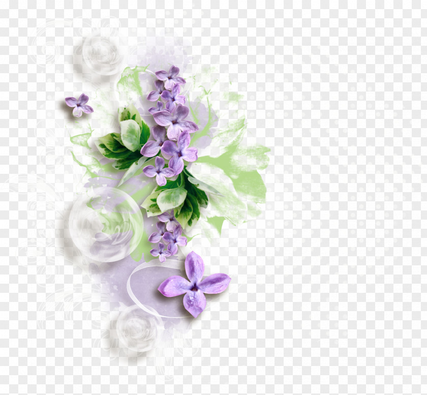 Jasmine Flower Clip Art PNG