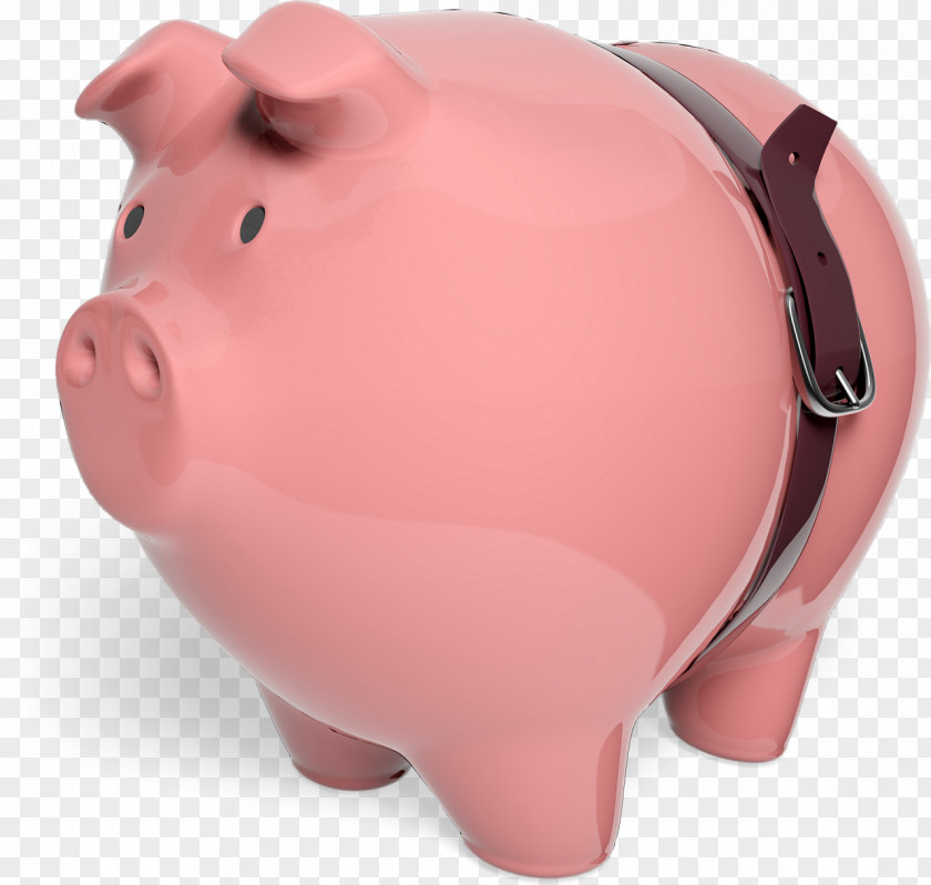 Pig Piggy Bank Snout Savings PNG