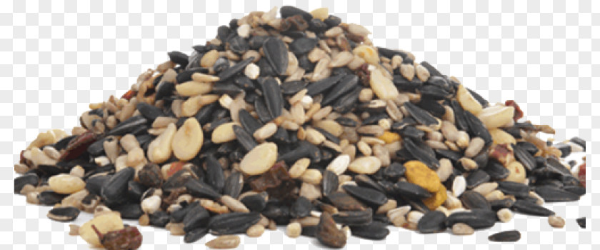 Sunflower Oil Nut Caraway Seed Cake Berry PNG