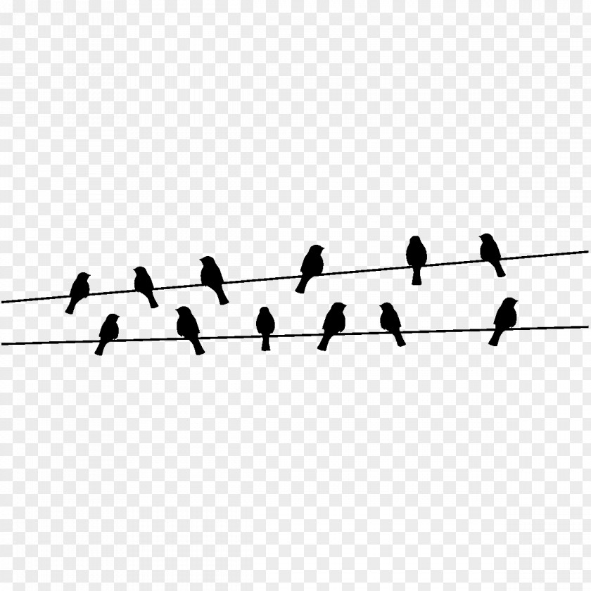荞麦面 Bird Nest Sticker Electrical Cable Wire PNG