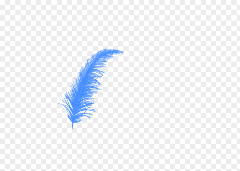 Blue Feather Float Owl Bird PNG