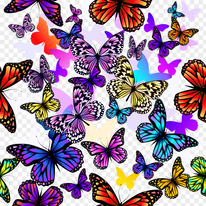 Colorful Butterfly Group Vector Material Euclidean Pattern PNG