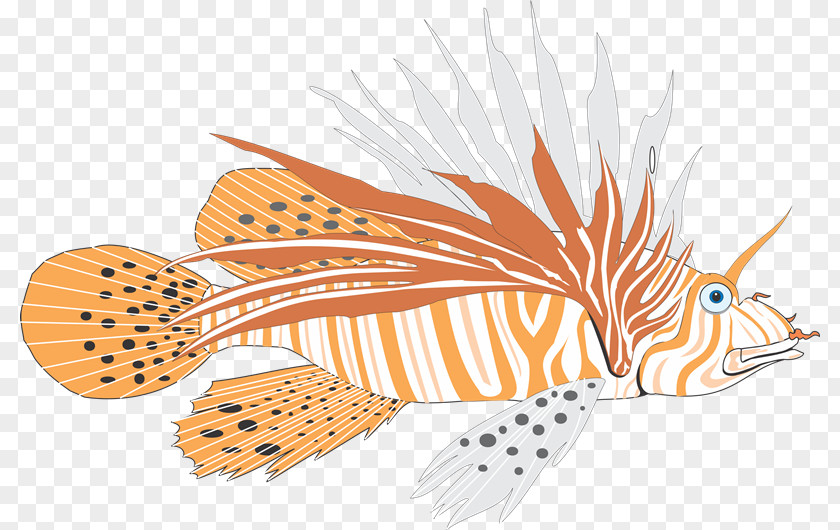 Fish Marine Biology Name Clip Art Illustration PNG