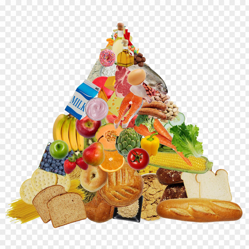 Food Pyramid Eating Group Paleolithic Diet PNG