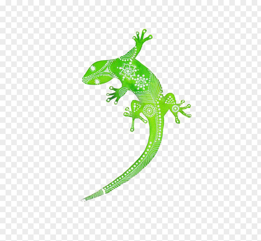 Lizard Gecko PNG