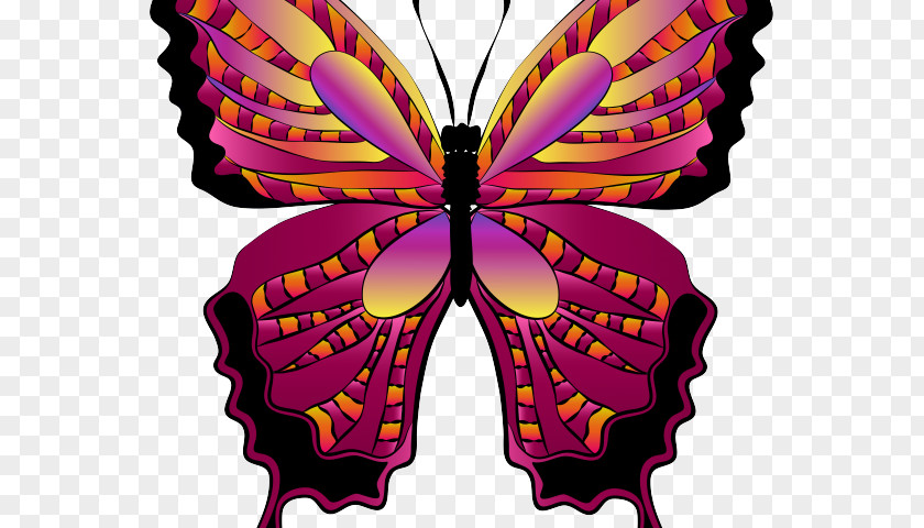 Magenta Monarch Butterfly Drawing PNG