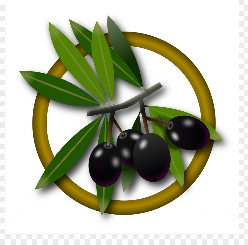 Olive Oil Fruit PNG