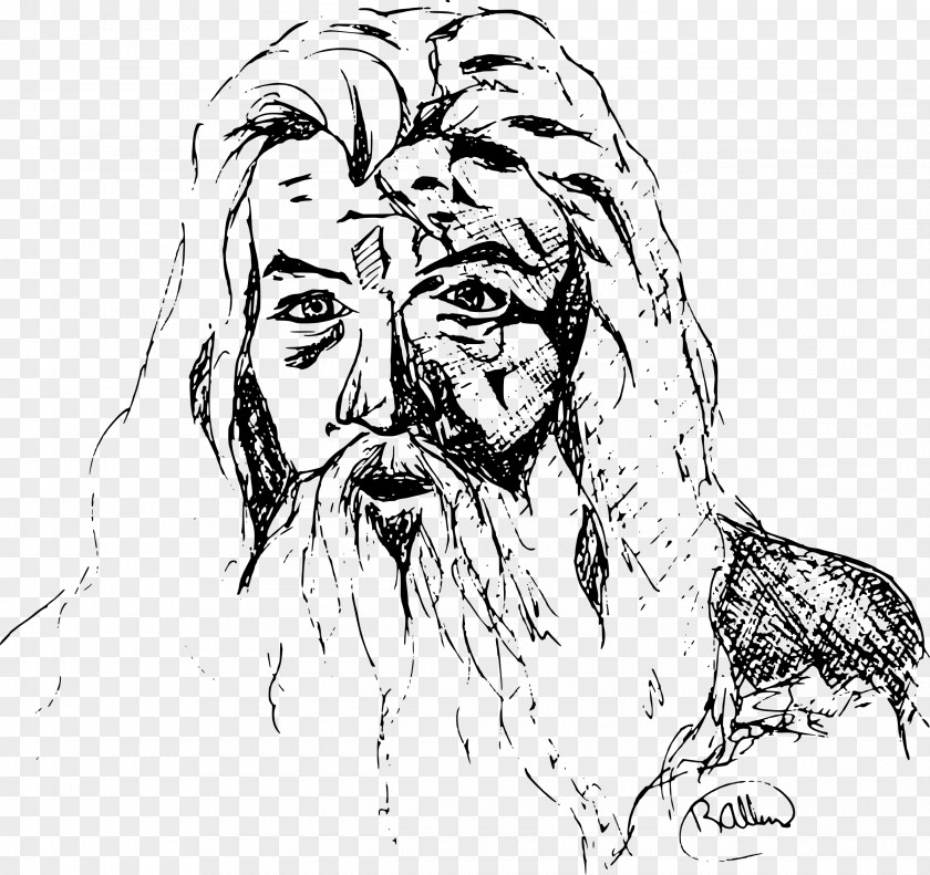 Cartoon Beard Gandalf Drawing Clip Art PNG