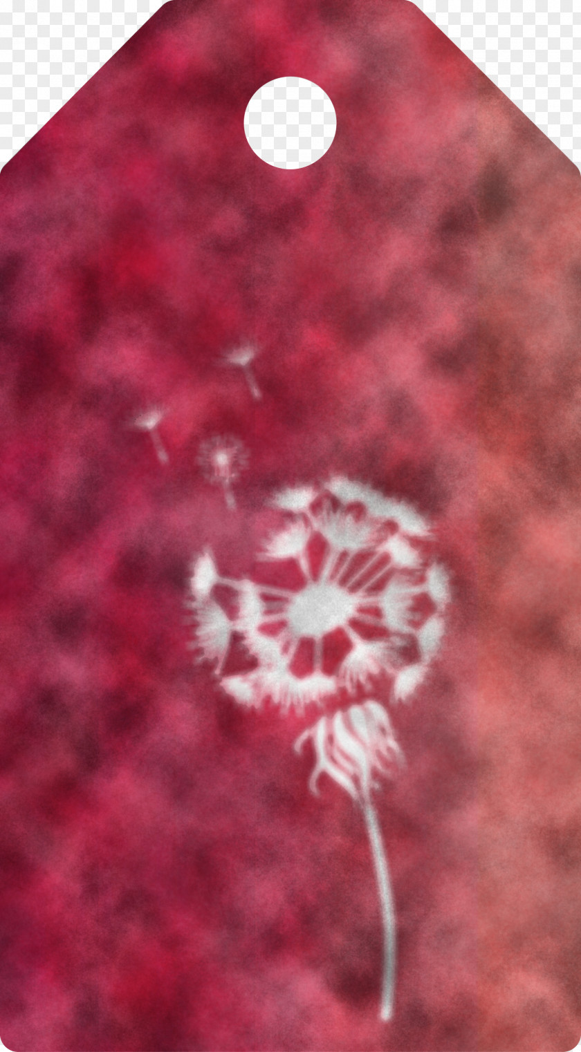 Dandelion Tag PNG