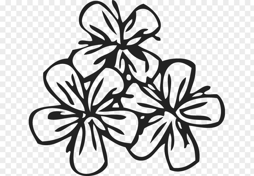 FLOWER PATTERN Flower Clip Art PNG