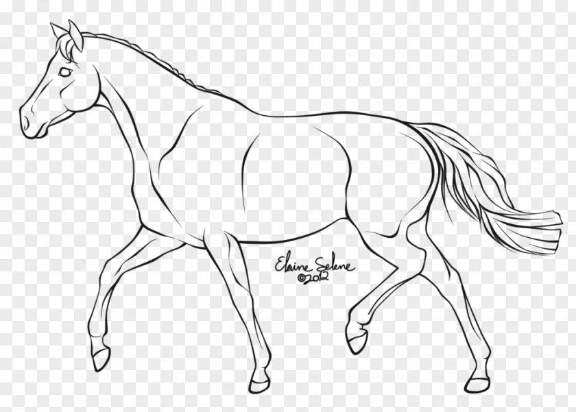 Horse Mule How To Draw A Trot Line Art PNG
