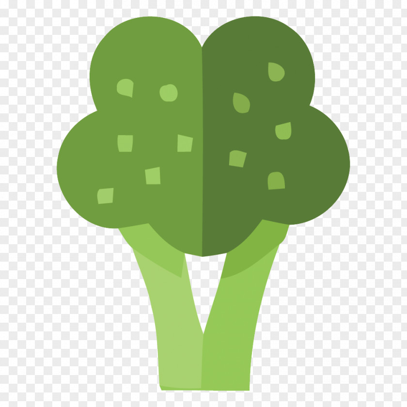 Vector Creative Flat Broccoli Euclidean PNG