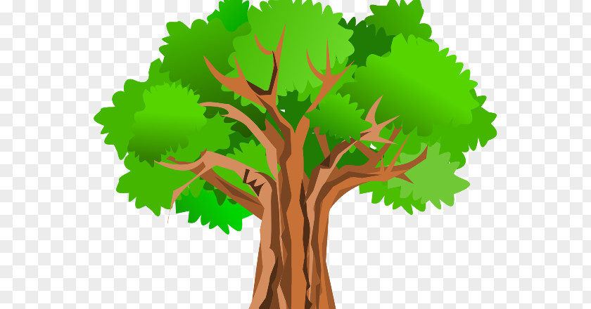 Clip Art Openclipart Tree Image PNG