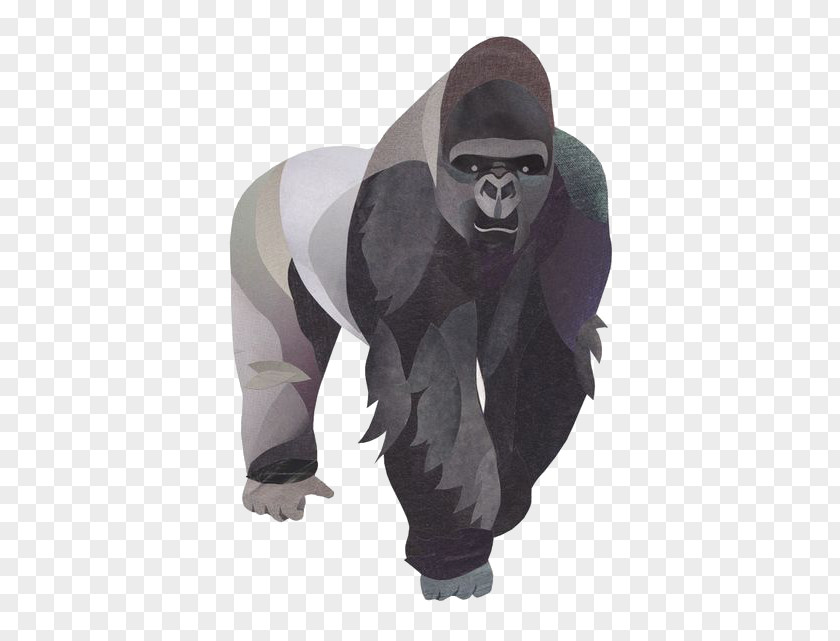 Orangutan Illustration Mountain Gorilla Ape PNG