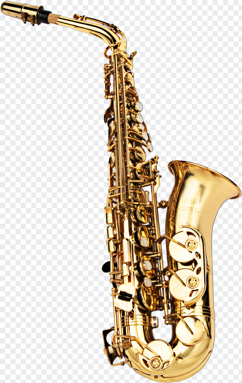 Saxophone Baritone Icon PNG