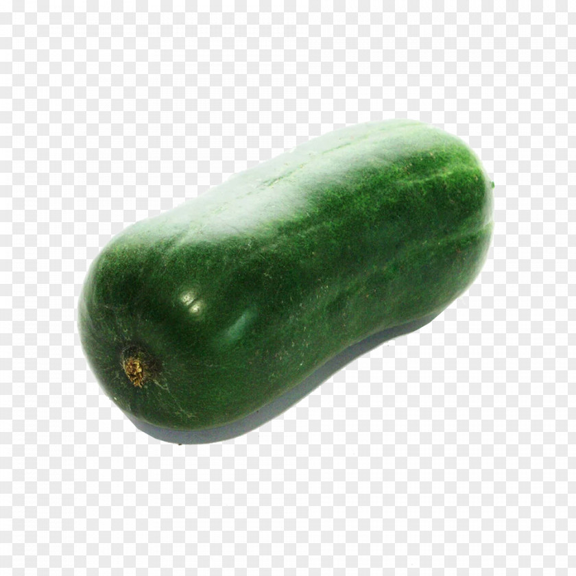 A Melon Cucumber Cantaloupe Wax Gourd Vegetable PNG